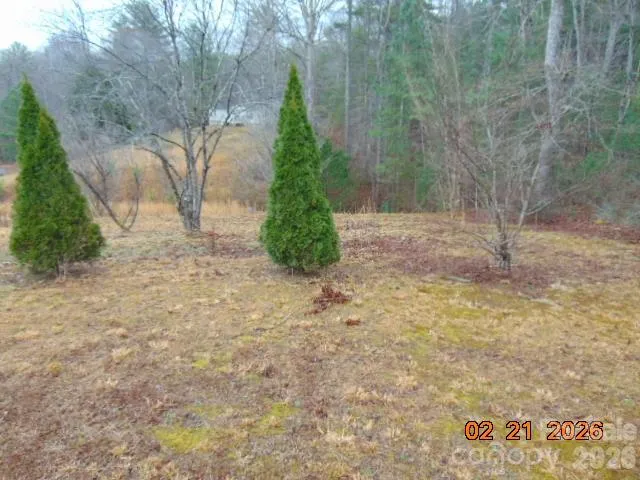 Left side yard