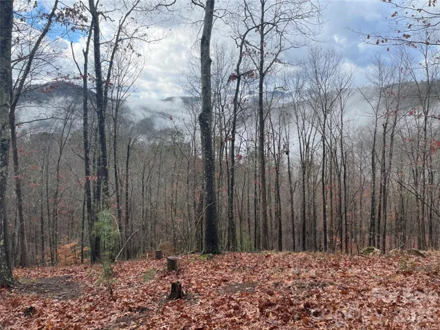 Build your perfect mountain retreat on this flat lot with long-range views!