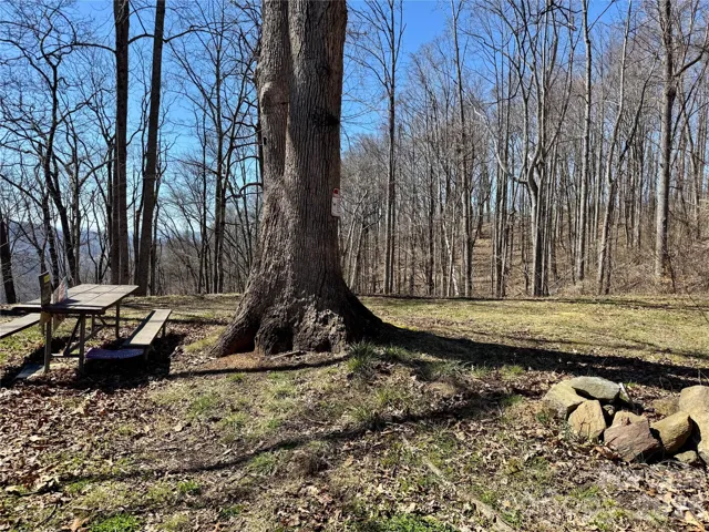 Beautiful Picnic Site !!