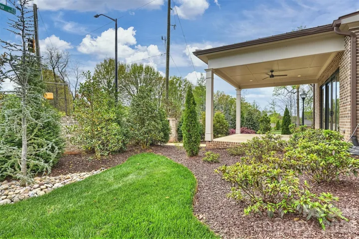 Beautiful Maturing Landscape