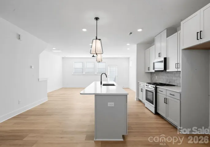 Photo is of lot 1 in community, finishes may vary