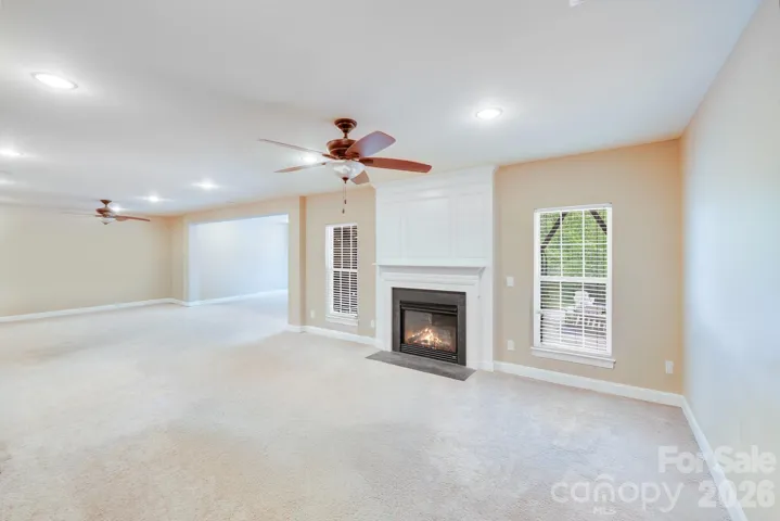 Basement Fireplace