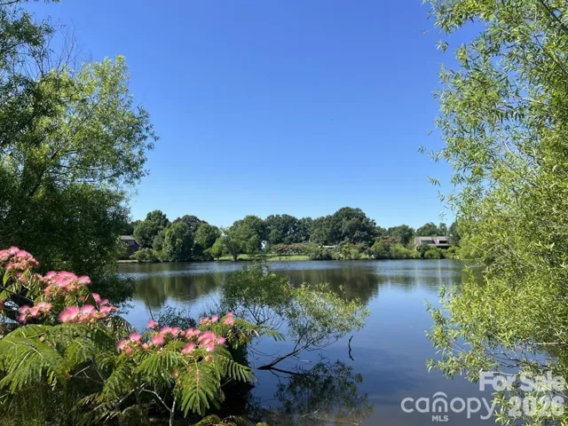 Lake Views
