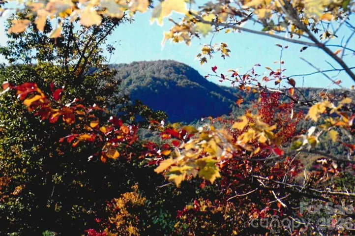 Image taken a few summers ago, after previous clearing.