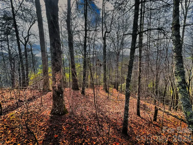 Lot 82 (232 Thorncliff)