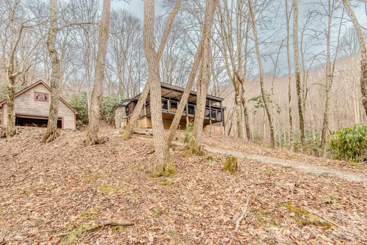 Welcome to your mountain home in the woods