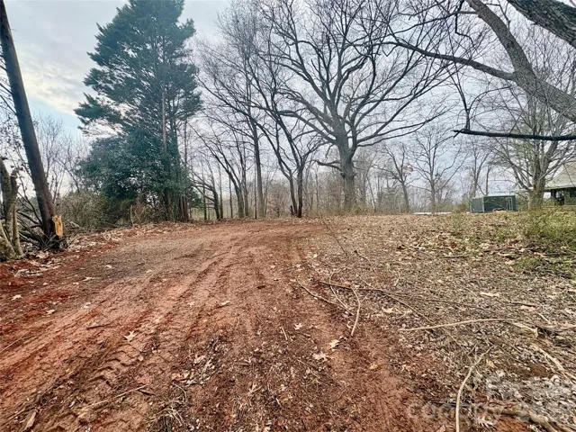 Semi cleared to get the feel of the land. Buyer will be responsible for clearing remainder of lot.