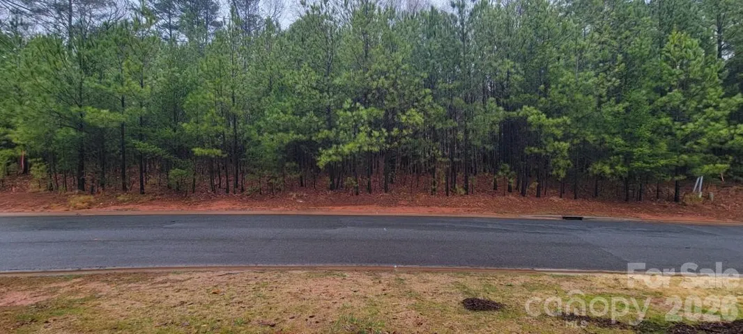 level .53 ac lot