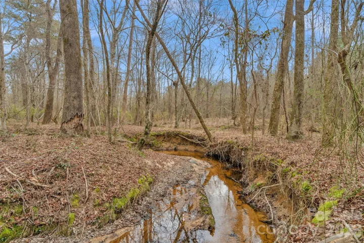 gorgeous Camp Creek rolling along the northern border