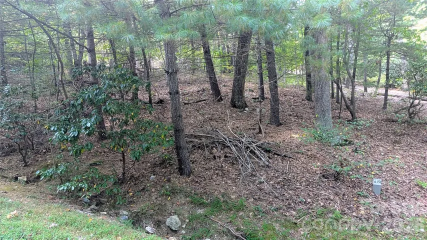 Wooded Lot Offering Privacy