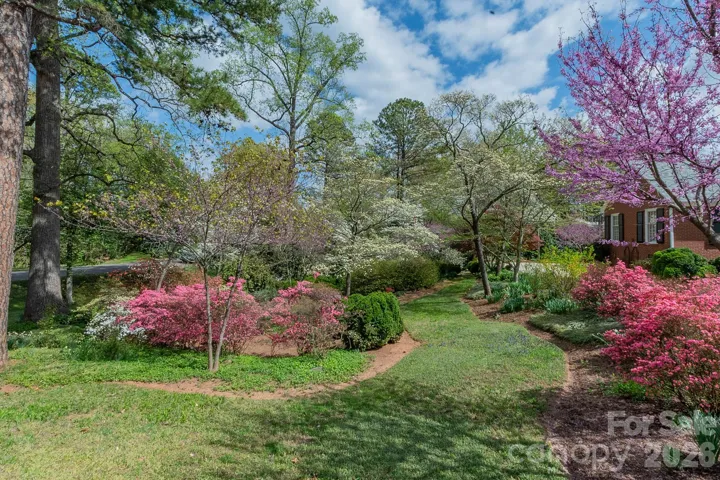 Large Side Yard Space