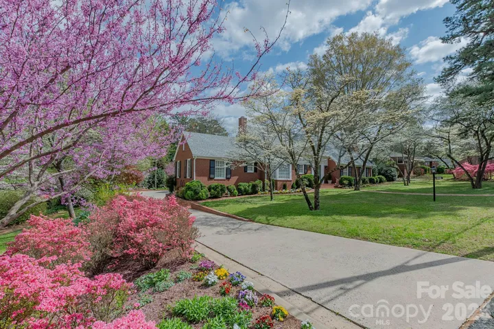 Expansive Driveway