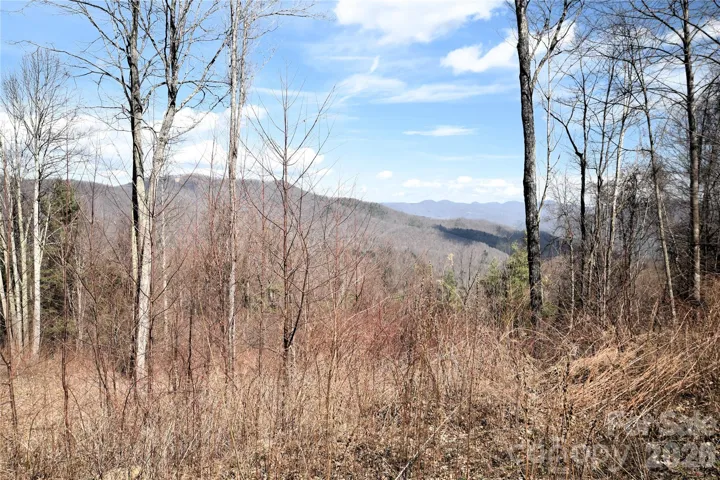 This is from the adjacent lot, but shows what the view would be like with trees cut for a house pad.