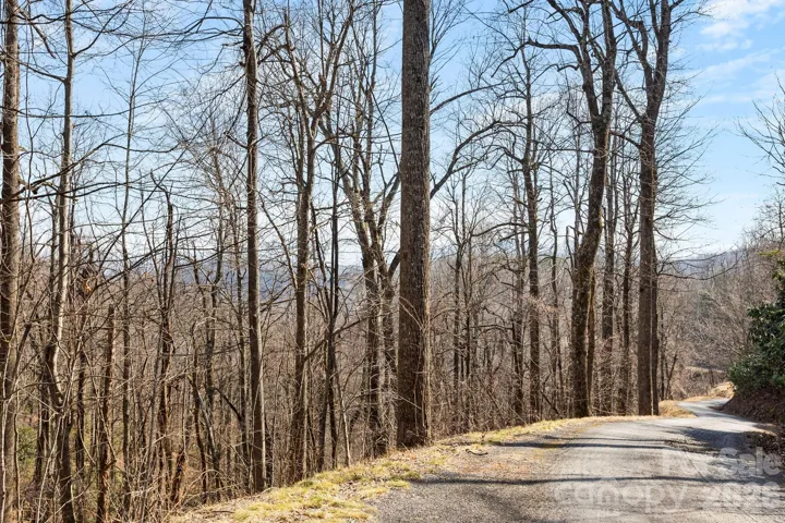 Looking down Laurel Mountain Trail - lot is on left side of the road.