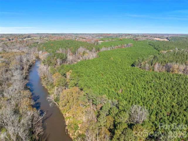 Beautiful pine production, bedding area for large game and small game, and riverfront property