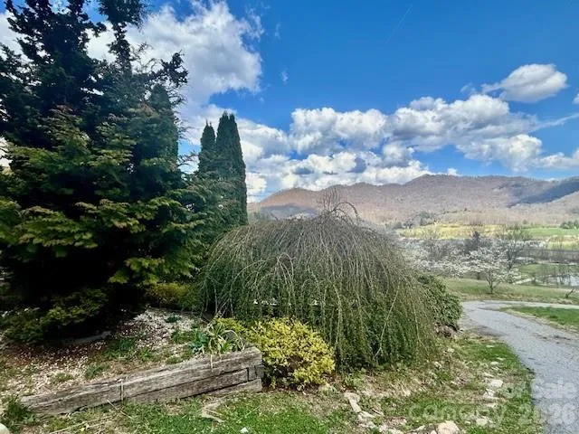 Top of the driveway Views
