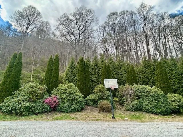 Thoughtful Landscaping