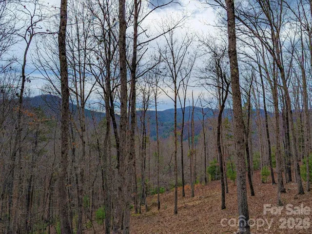 Partially cleared views on subject tract looking south