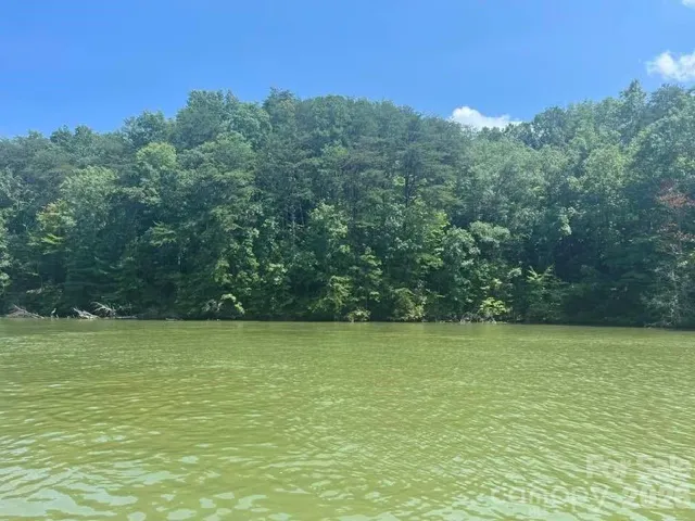 View of lot from Lake Adger
