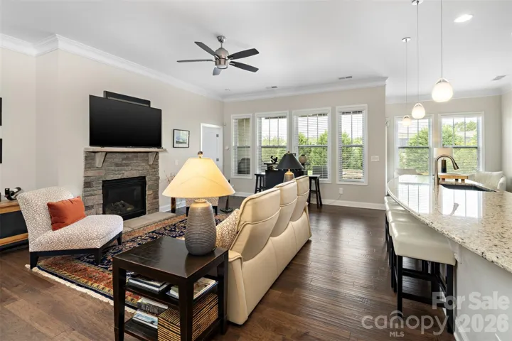 Living Room with Fireplace View