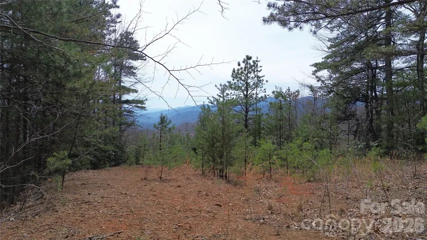 Potential building pad