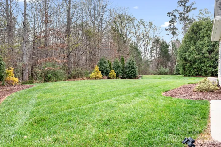 backyard with wooded lot