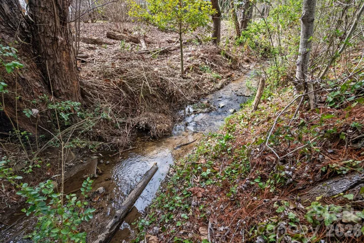 Pharr Branch is a small creek at lower end of property