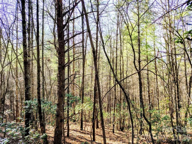 10 Acre Tract in Heartwood Forest Subdivision