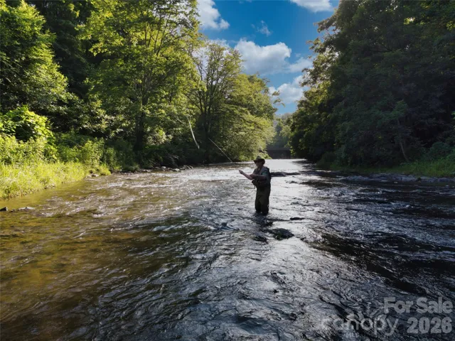 World class trout fishing in your backyard