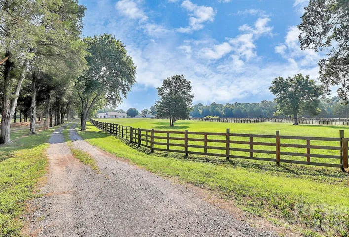 Entry/Drive Way Lined with Trees