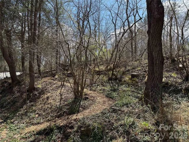 Community Walking Trails