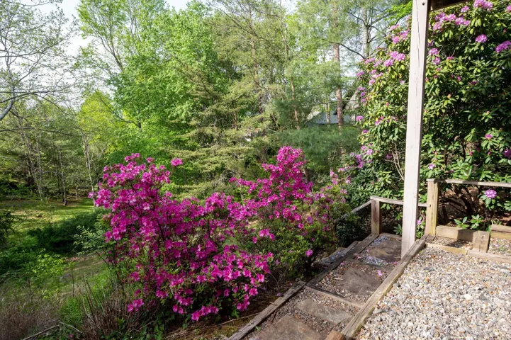 Spring has Sprung!
