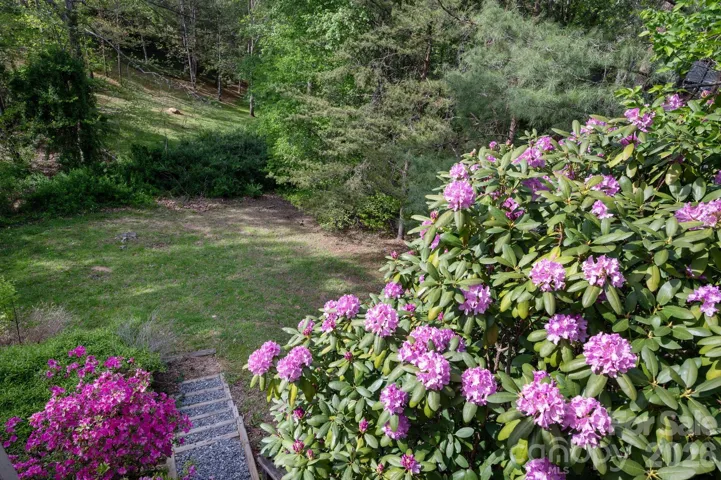 Gorgeous Flowering Shrubs Adorn the Property