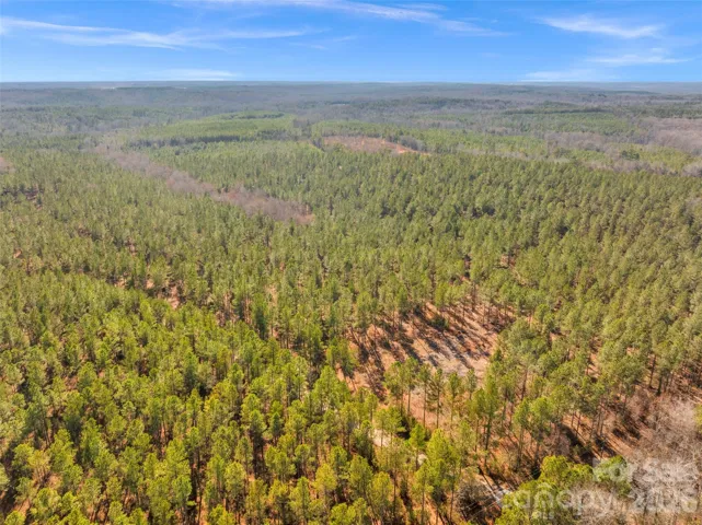 10+ Acre homestead with mature private woods