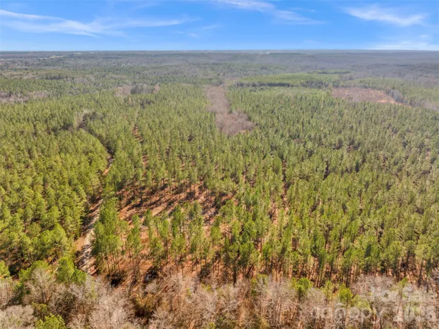 large peaceful homestead