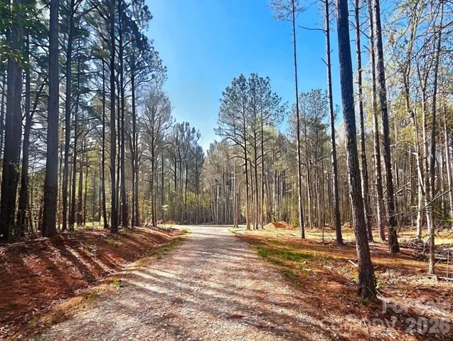 Entrance to Cleared Lot