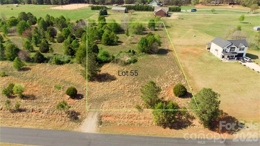 Lot 55