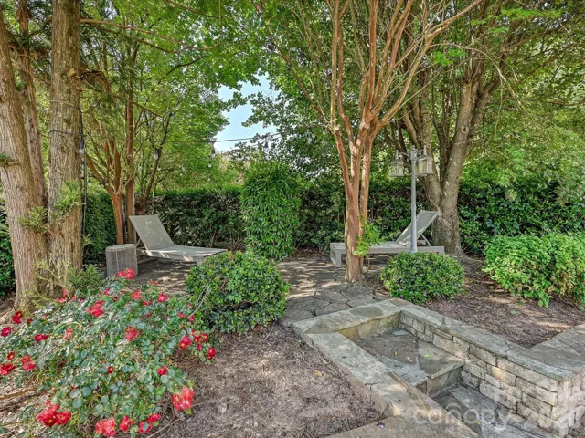 Landscape Front Yard