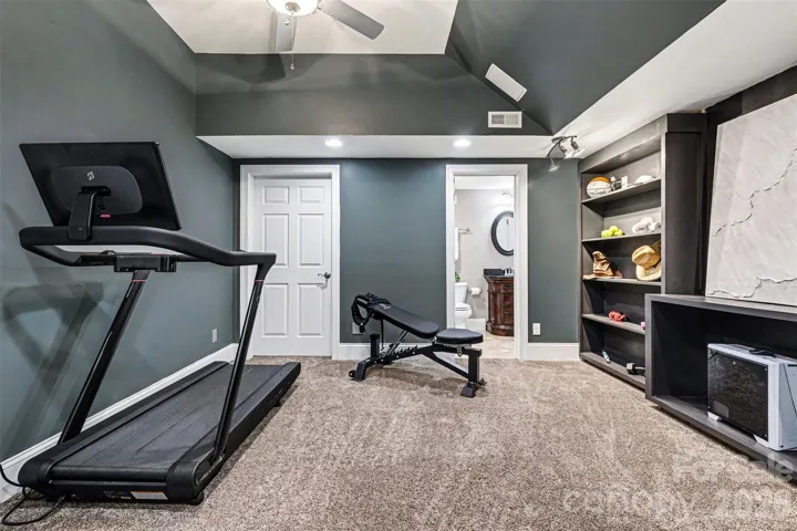 Basement flex room/ home office/ gym with unfinished basement storage access