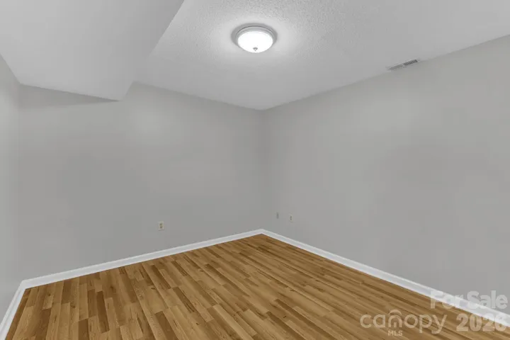 Bonus Room in Basement