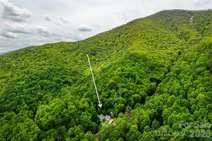 Living in heavily treed Laurel Ridge is like living off the Blue Ridge Parkway. Welcome home to your place in the beautiful WNC mountains!
