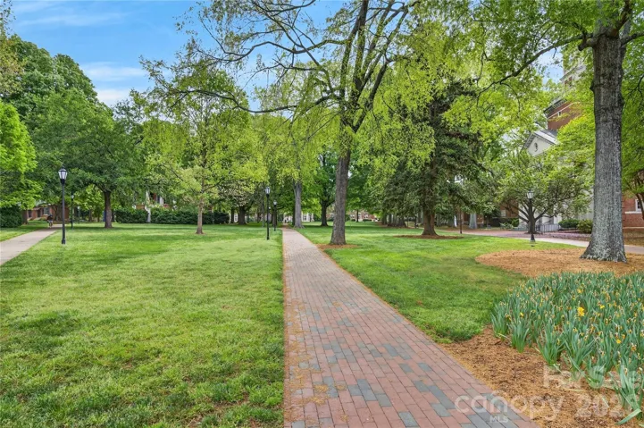 Plus: The Storybook Grounds Of Davidson College
