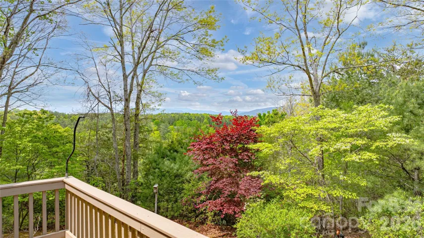 Views from rear deck