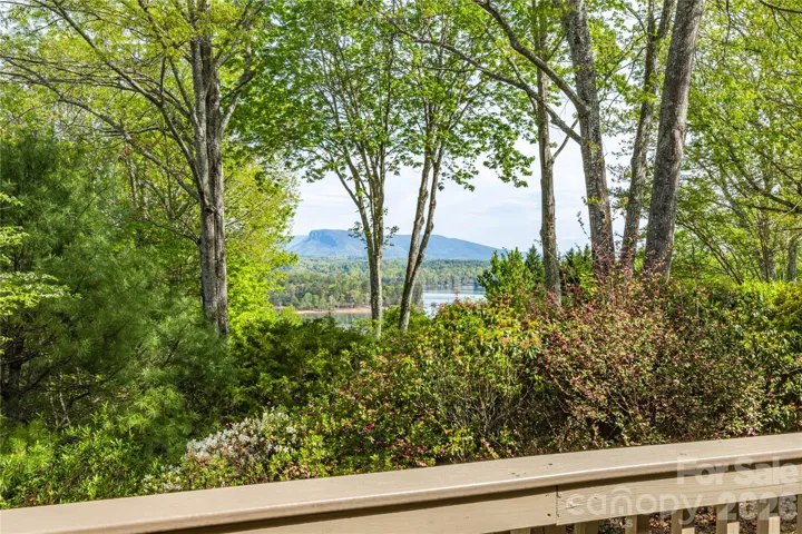 View from deck