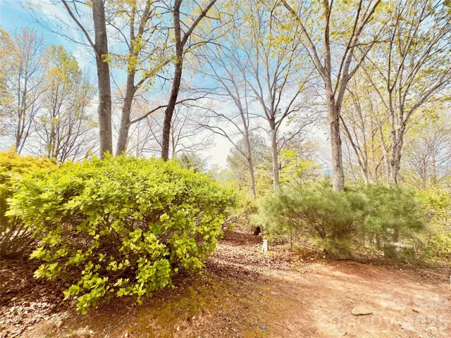 Additional rear lot included