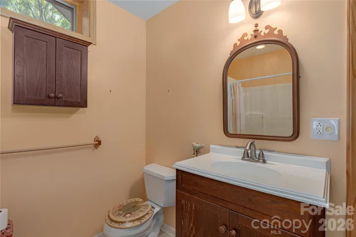 Lower level bathroom