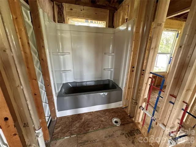 Bathroom tub & Shower