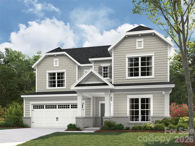 Elevation rendering only