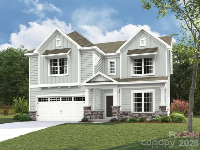 Elevation rendering only