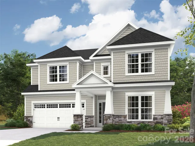 Elevation rendering only